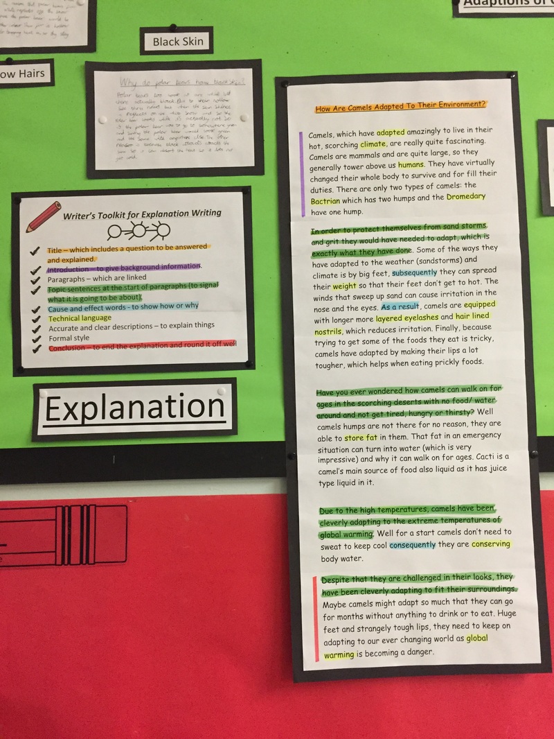 good topics for explanation writing